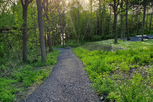 nature path view