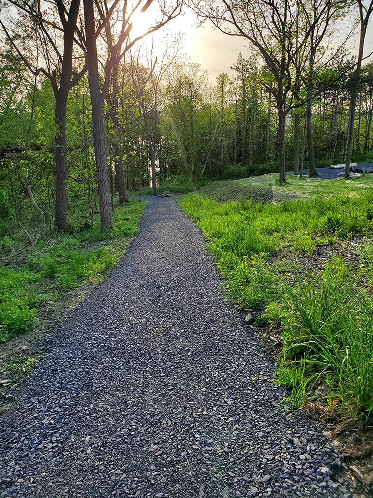 nature path