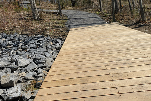 wooden path bridge